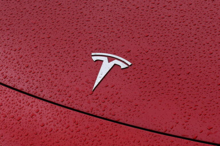 tesla badge